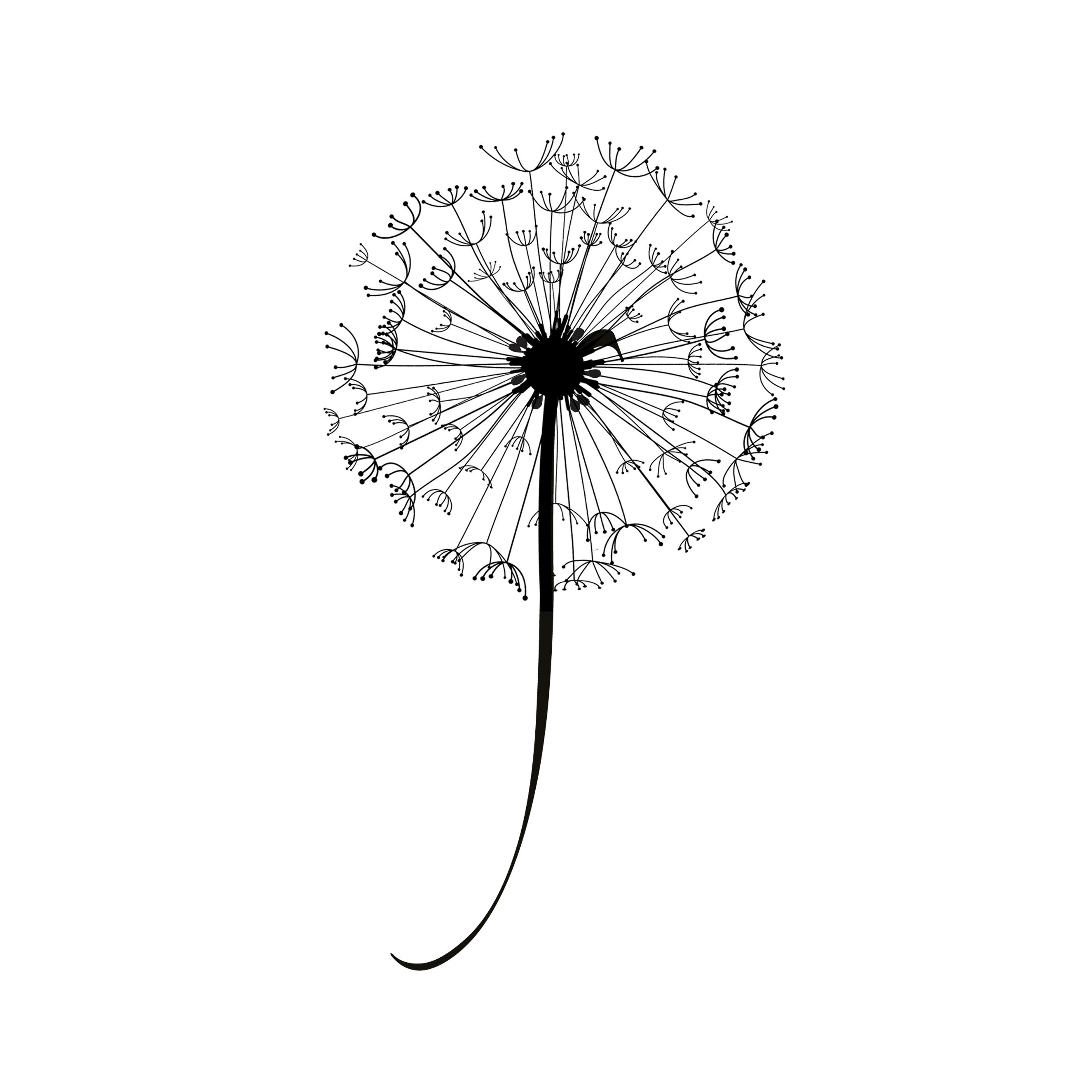 Swimwear Boutique Dandelion