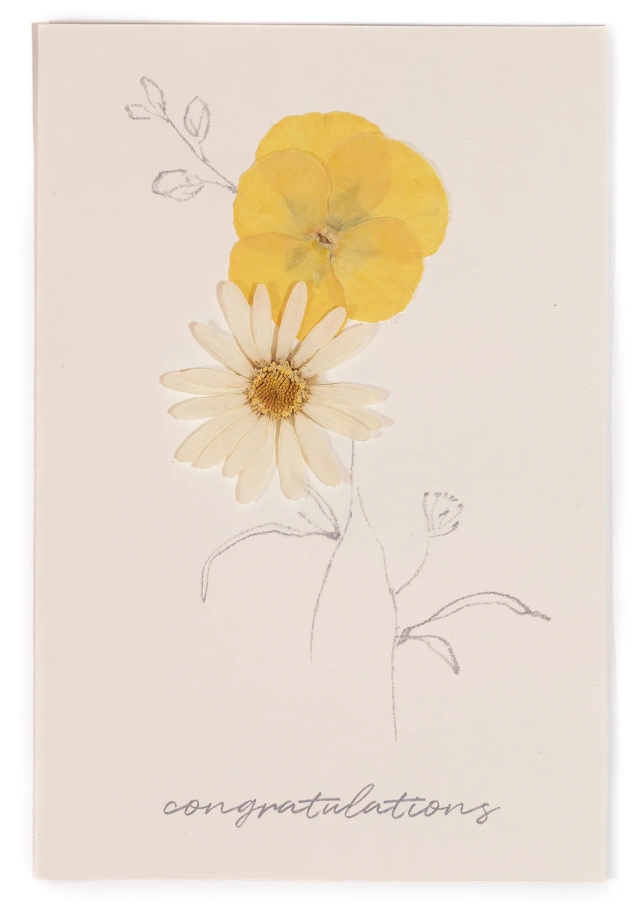 Rosy Rings, Congratulations Card - White Daisy Pressed Floral Stationery