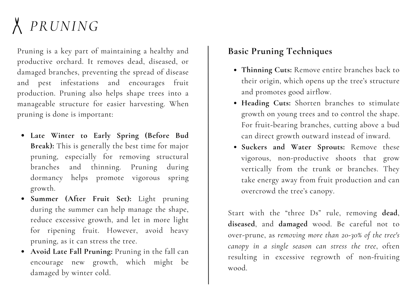 Caring For Your Fruit Trees By Rosa Singh