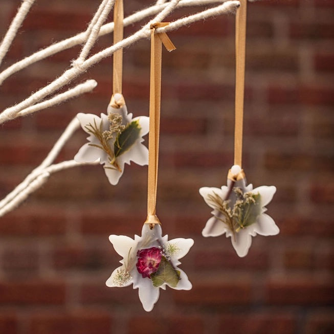 Rosy Rings, Spicy Apple Snowflake Botanical Sachet