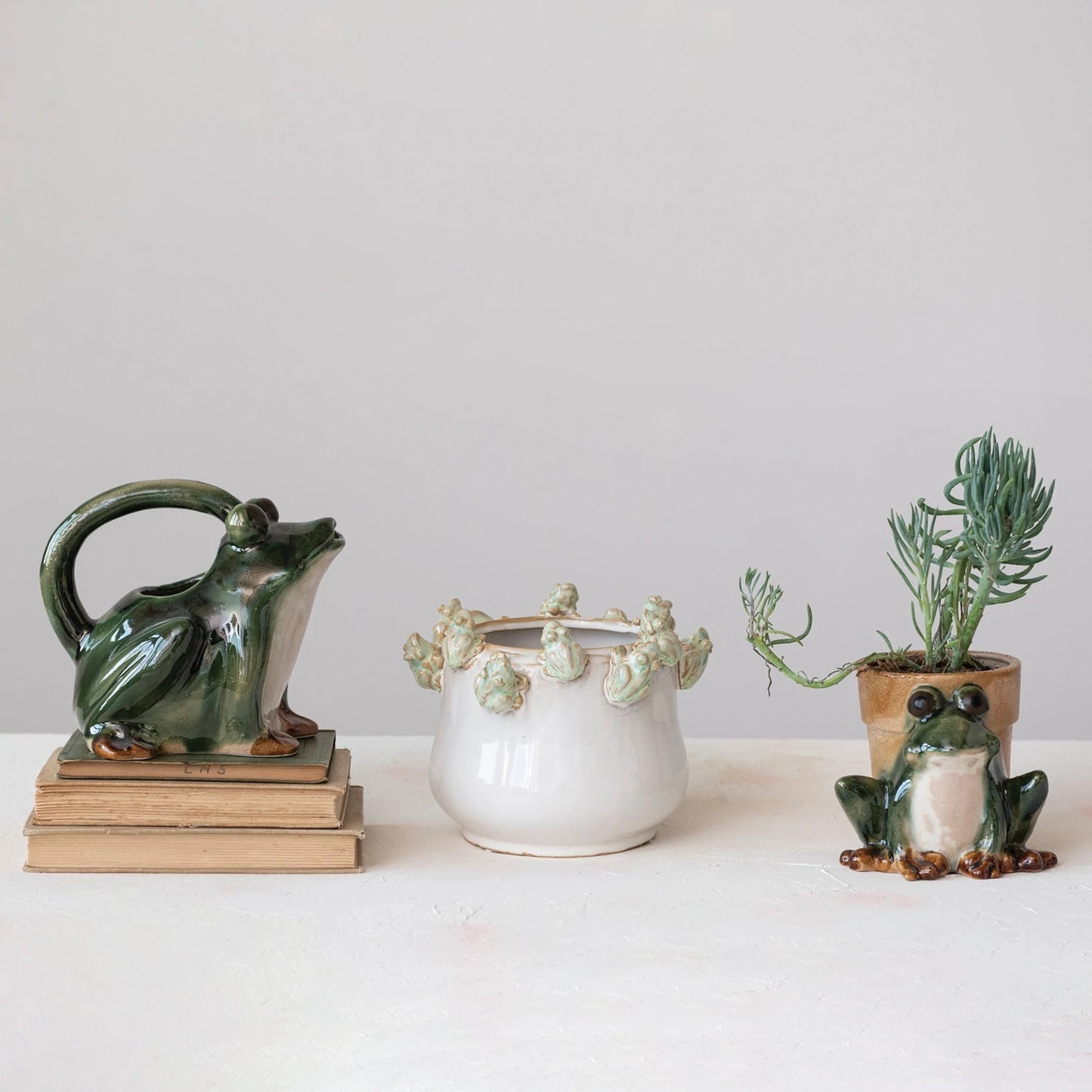 Frog Watering Pitcher