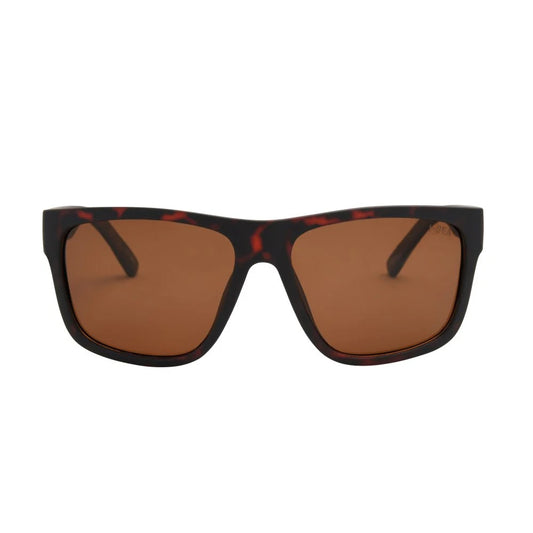 Dalton Sunglasses
