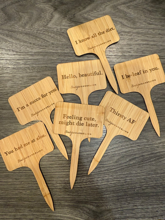 Assorted Pun Plant Markers