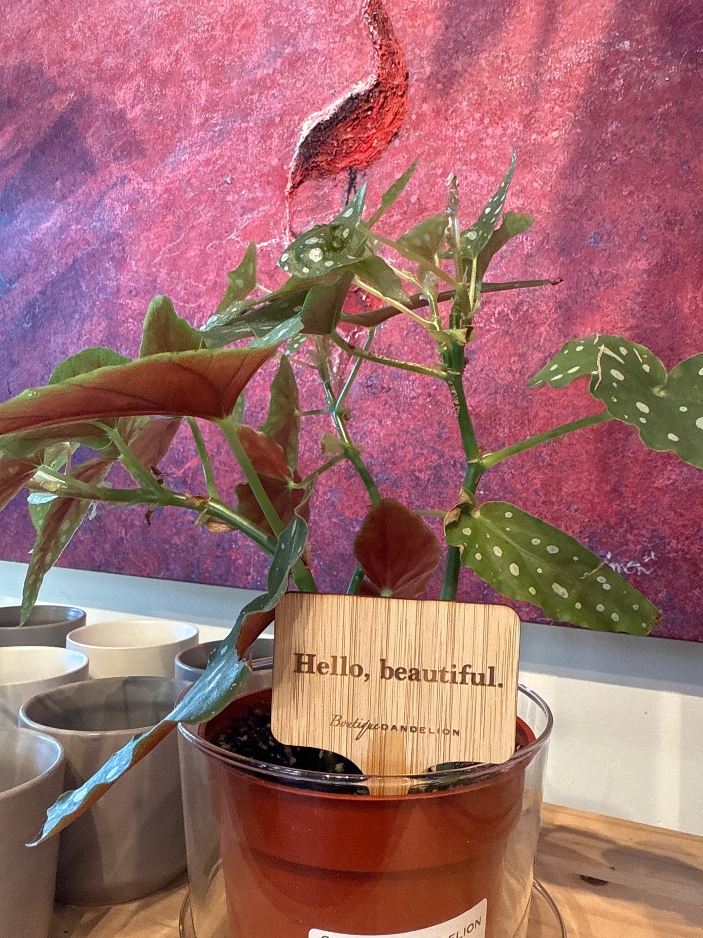 Assorted Pun Plant Markers