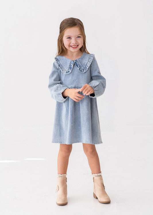 Denim Days Long Sleeve Dress