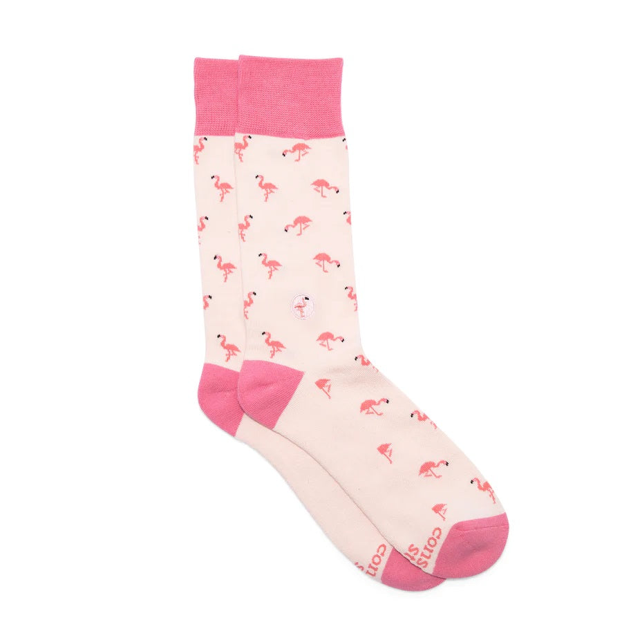 Conscious Step, Socks That Protect Flamingos - Flamboyant Flamingos - Boutique Dandelion