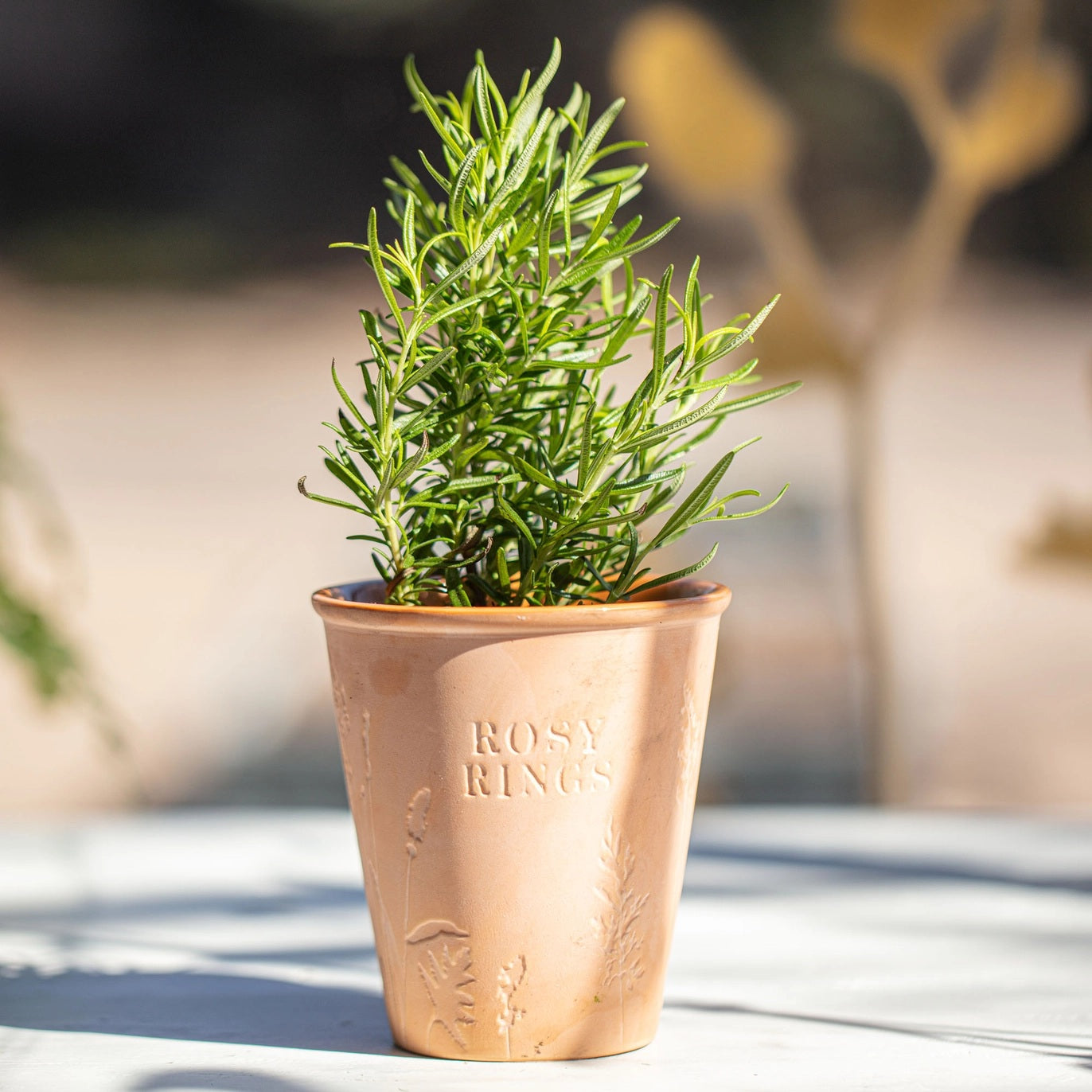 Rosy Rings, Dirt Garden Pot Candle + Plantable Seed Dust Cover