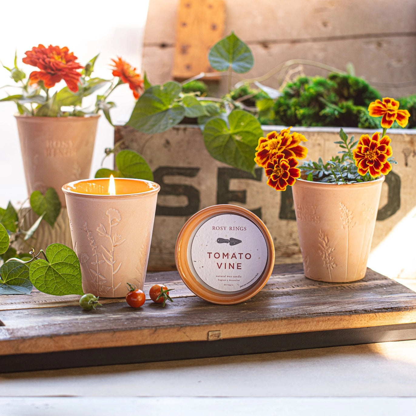 Rosy Rings, Dirt Garden Pot Candle + Plantable Seed Dust Cover