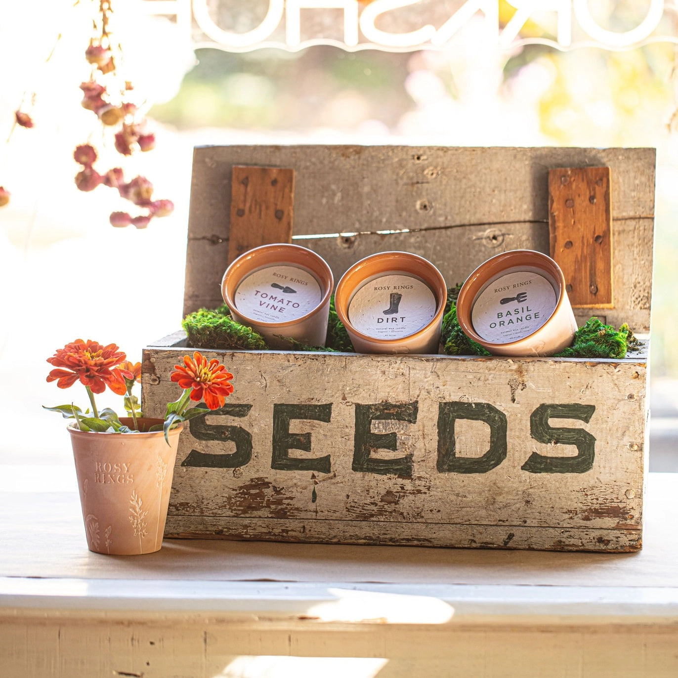 Rosy Rings, Dirt Garden Pot Candle + Plantable Seed Dust Cover