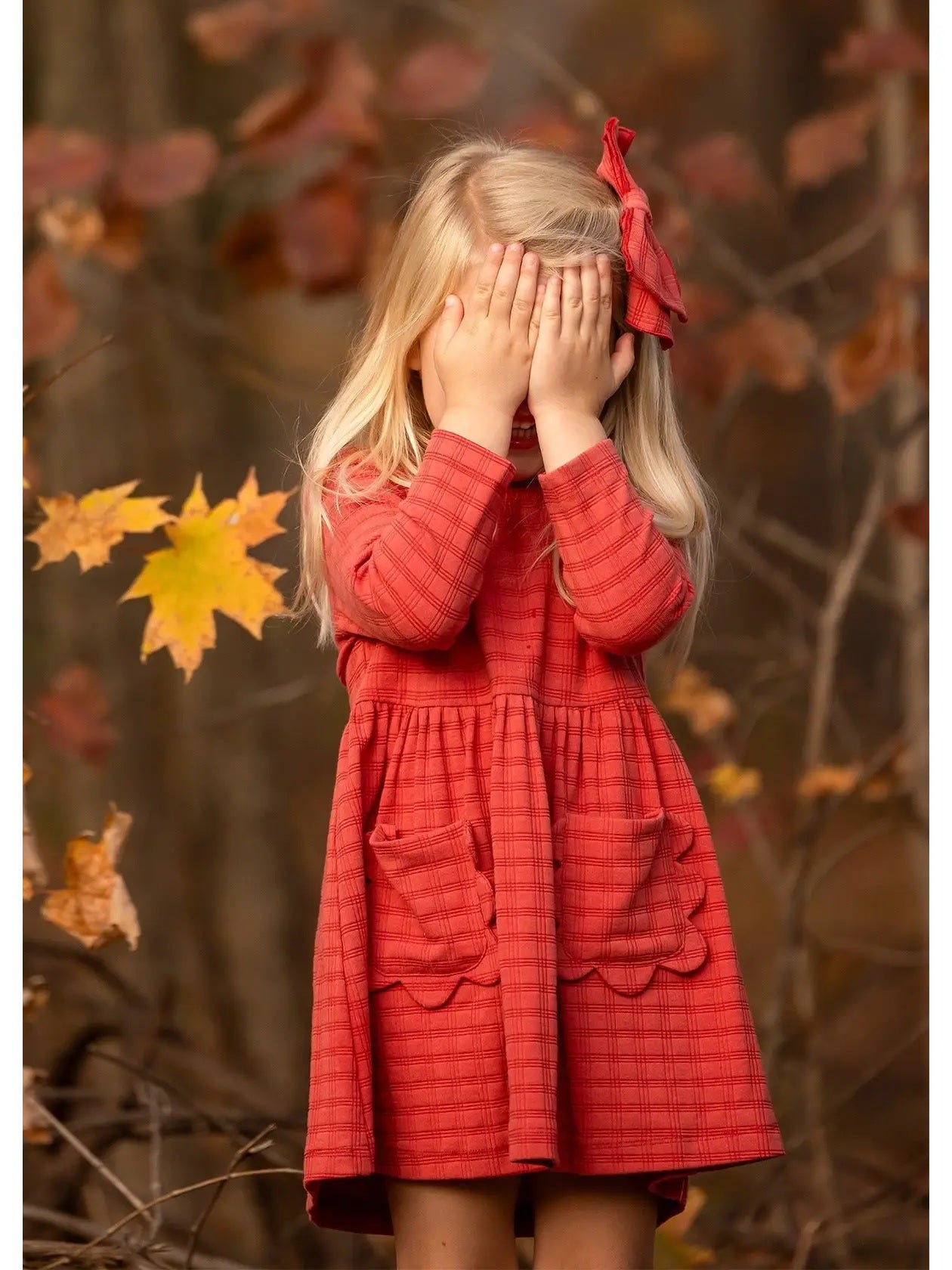 Tea Party Red Gingham Dress