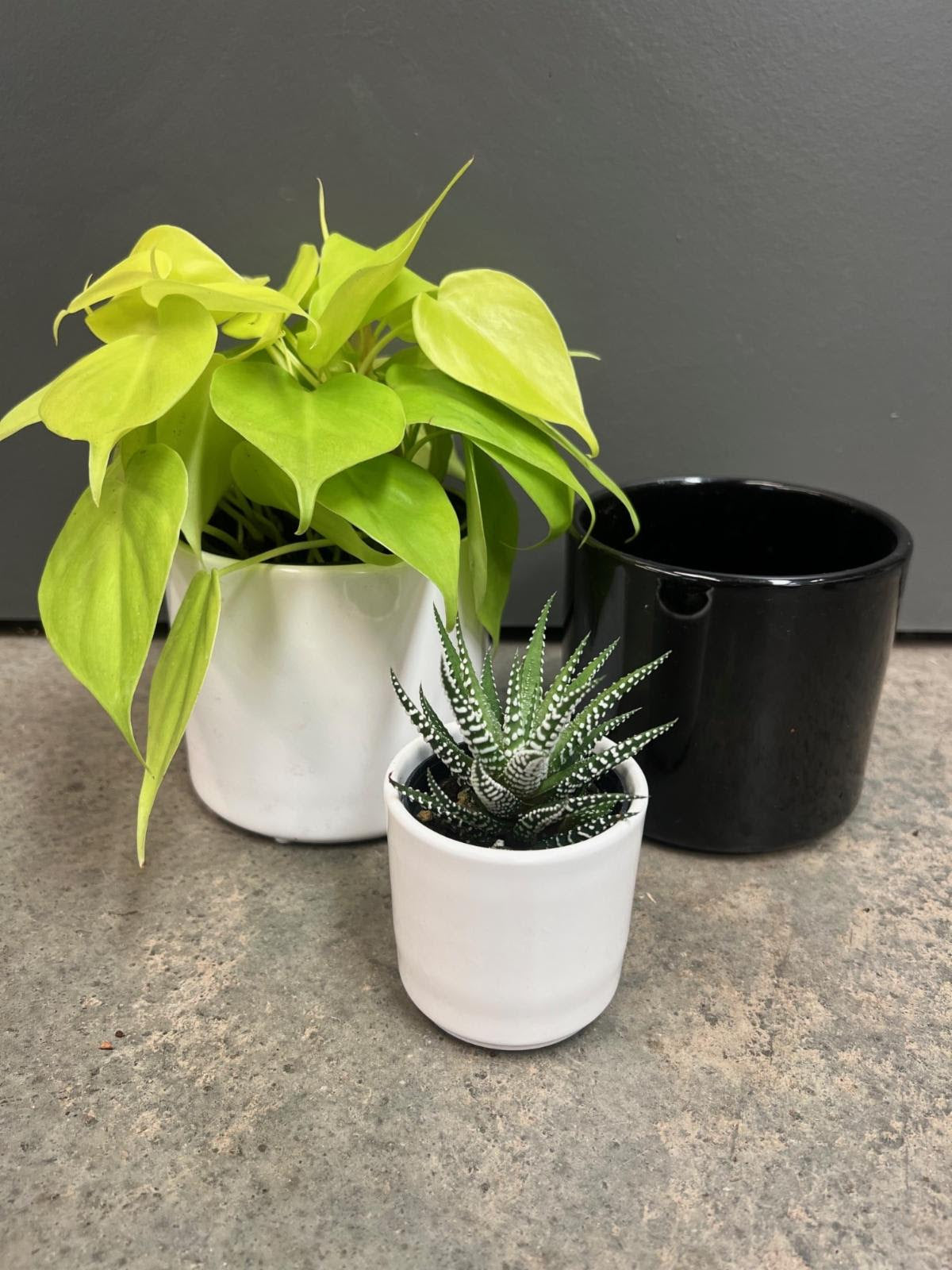 Cylinder Ceramic Pot