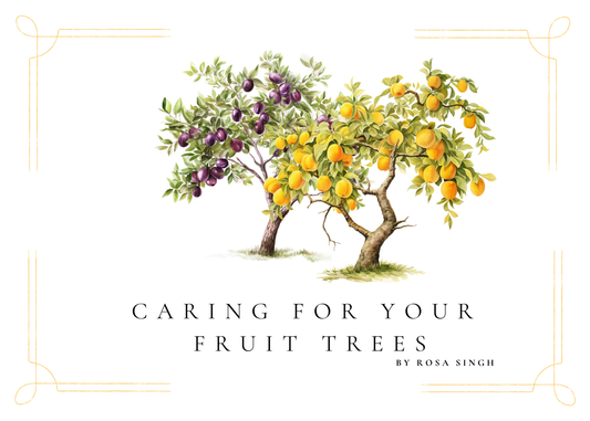 Caring For Your Fruit Trees By Rosa Singh