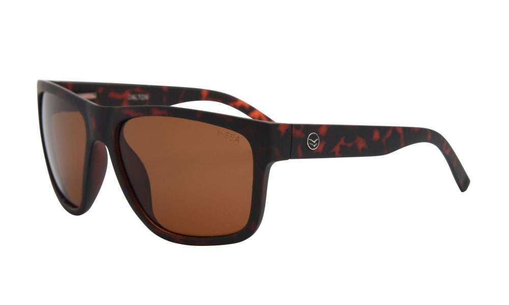 Dalton Sunglasses