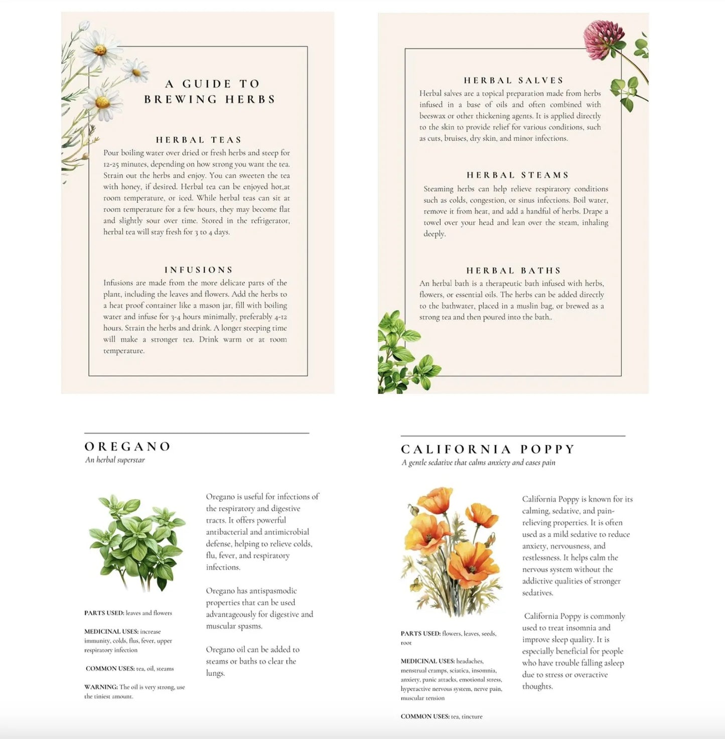 Healing Plants for Common Ailments By Rosa Singh