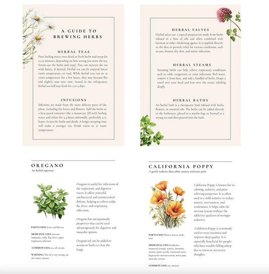 Healing Plants for Common Ailments By Rosa Singh