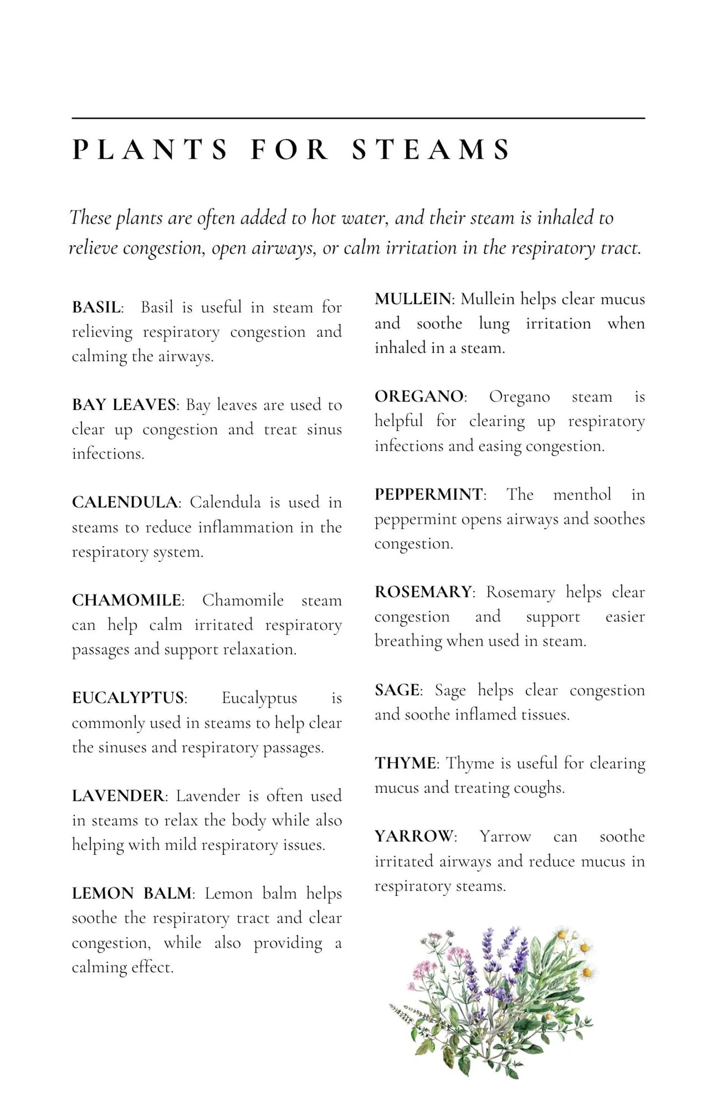 Healing Plants for Common Ailments By Rosa Singh