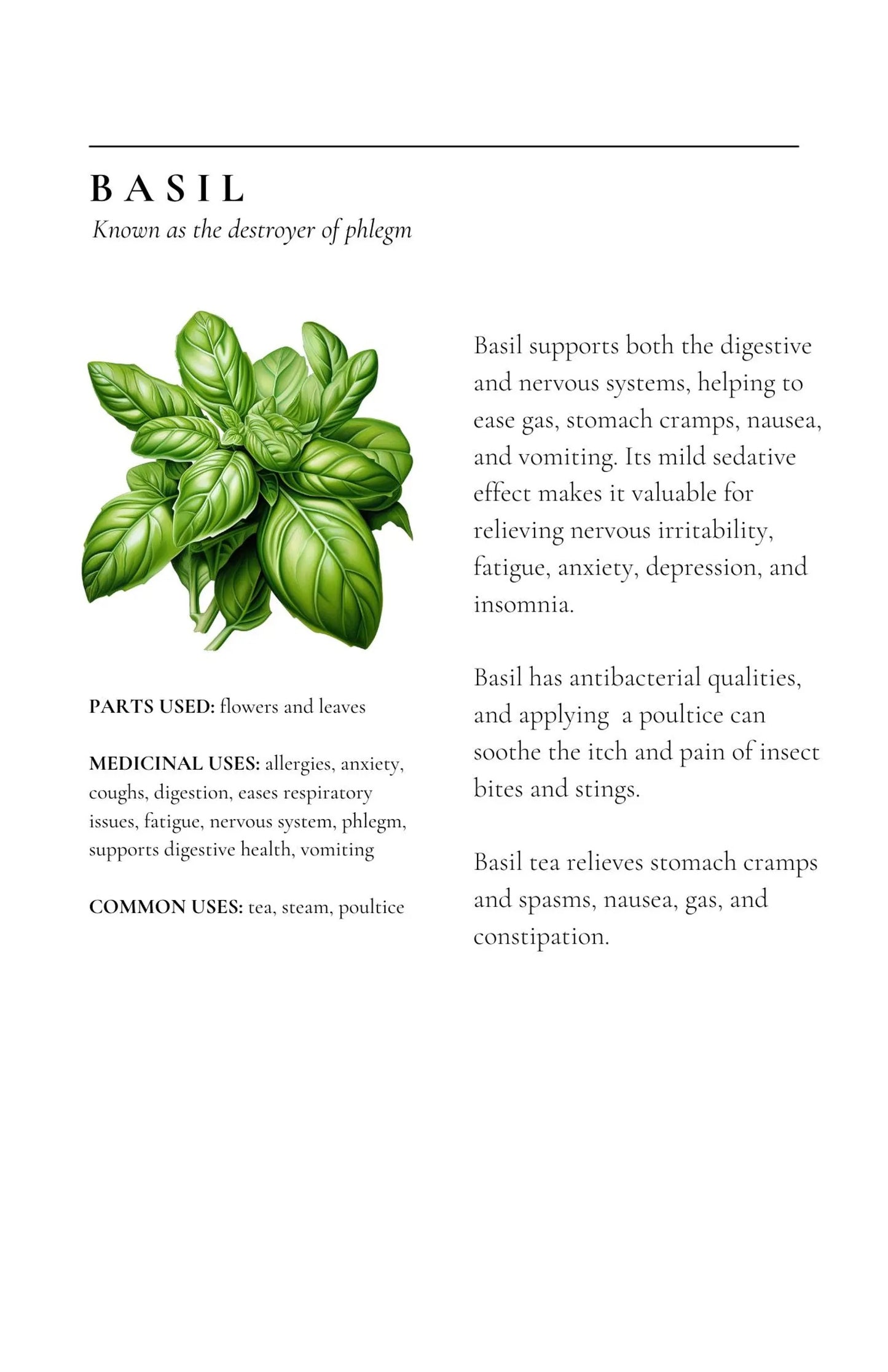 Healing Plants for Common Ailments By Rosa Singh