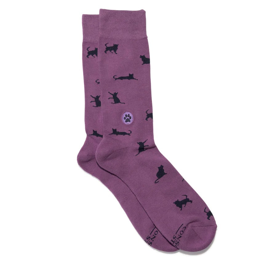 Conscious Step, Socks That Save Cats - Curious Cats - Boutique Dandelion