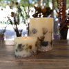 Rosy Rings, Coastal Vanilla Petite Botanical Candle