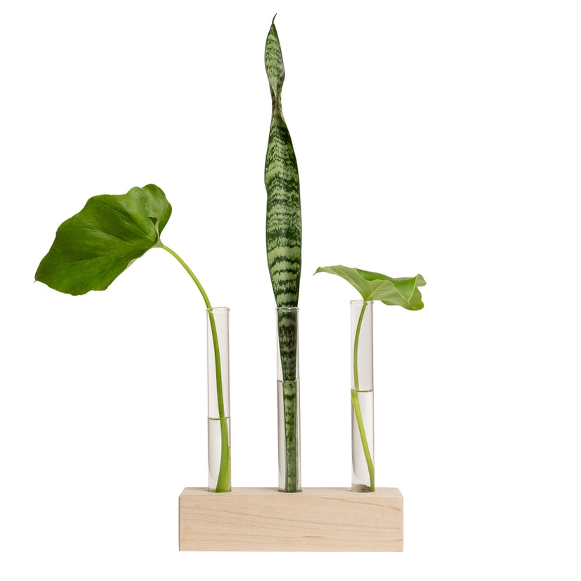 Hold Onto Your Plants, Trio Propagation Station