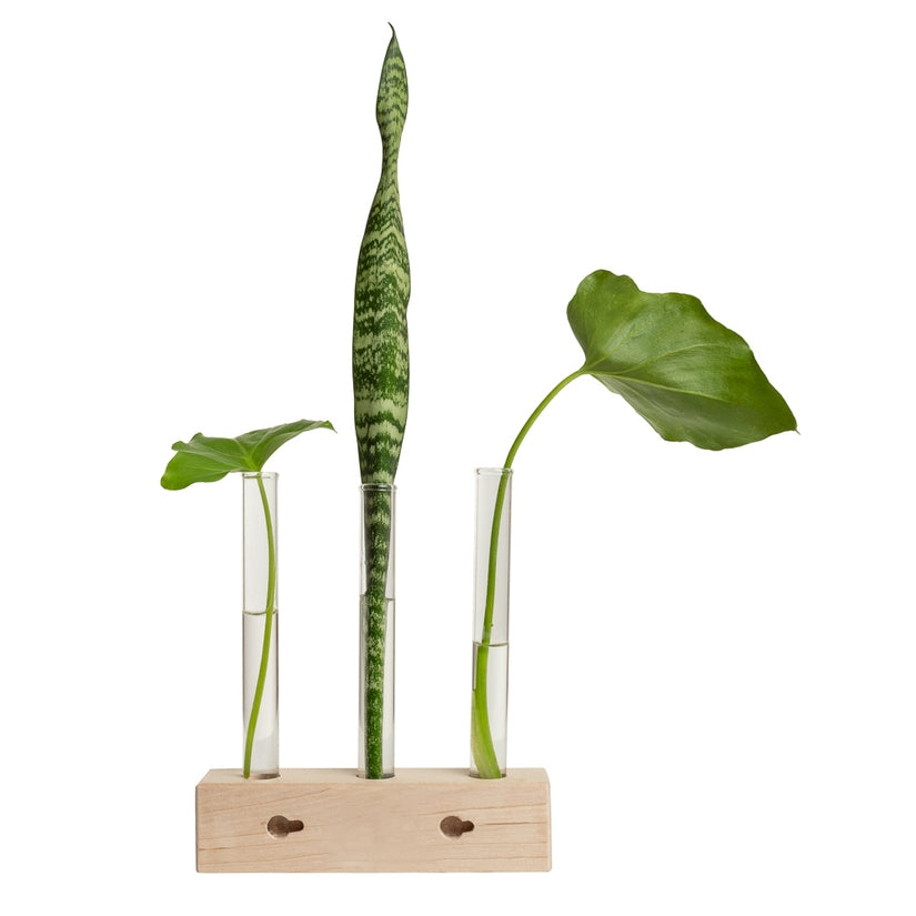 Hold Onto Your Plants, Trio Propagation Station