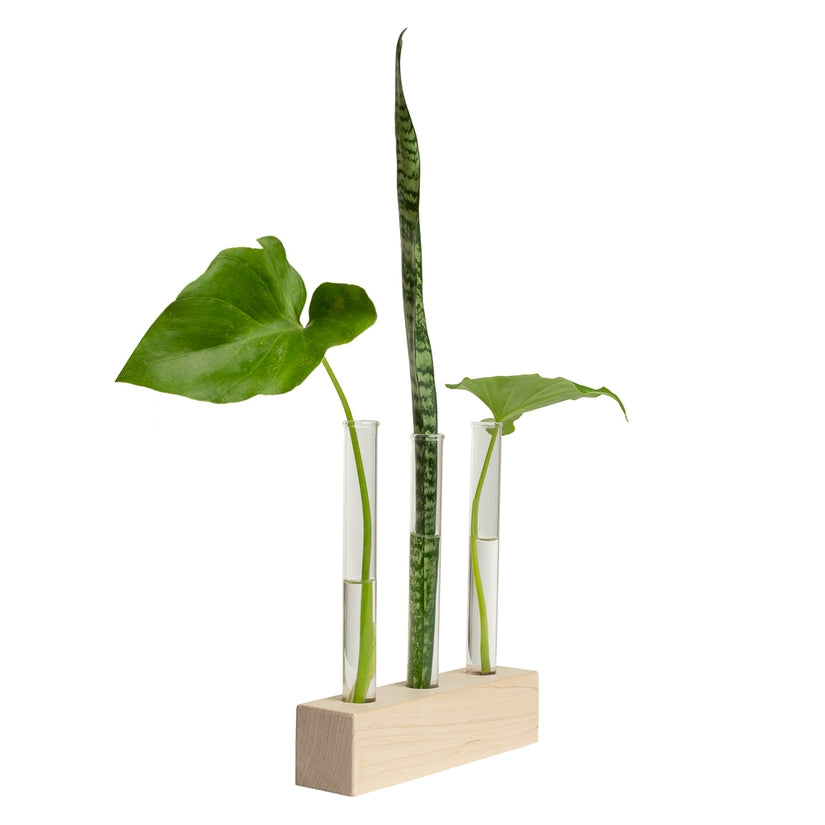 Hold Onto Your Plants, Trio Propagation Station