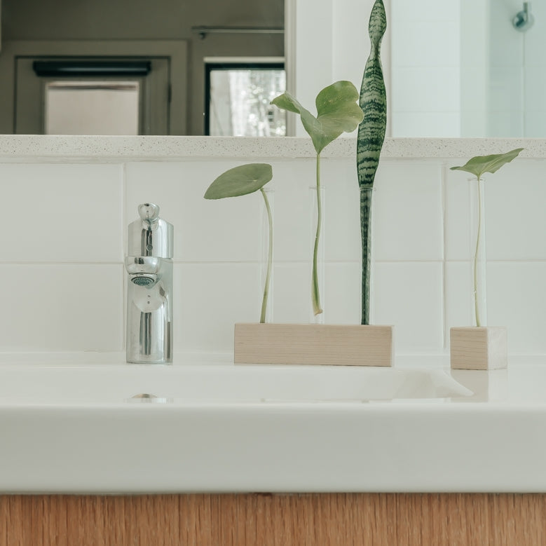 Hold Onto Your Plants, Trio Propagation Station