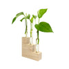 Hold Onto Your Plants, Riser Propagation Station
