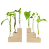 Hold Onto Your Plants, Riser Propagation Station