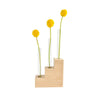 Hold Onto Your Plants, Riser Propagation Station