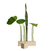 Hold Onto Your Plants, Single Propagation Station