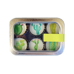 Kate's Magnets, Cactus Magnet - Six Pack