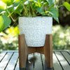 Cathedral Ceramic Planter on Stand