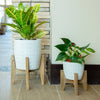 Cathedral Ceramic Planter on Stand