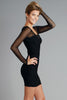 Mesh Contrast Sleeve Dress