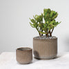 Habitat Pot