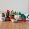 Crochet Cactus Plant Plush