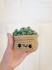 Crochet Cactus Plant Plush