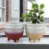 Mini Leg Planter