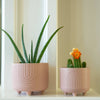 Rainbow Ceramic Footed Planter