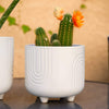 Rainbow Ceramic Footed Planter